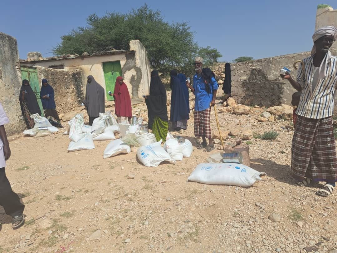What We Do Food assistance field photograph from TSS’s June 2023 report